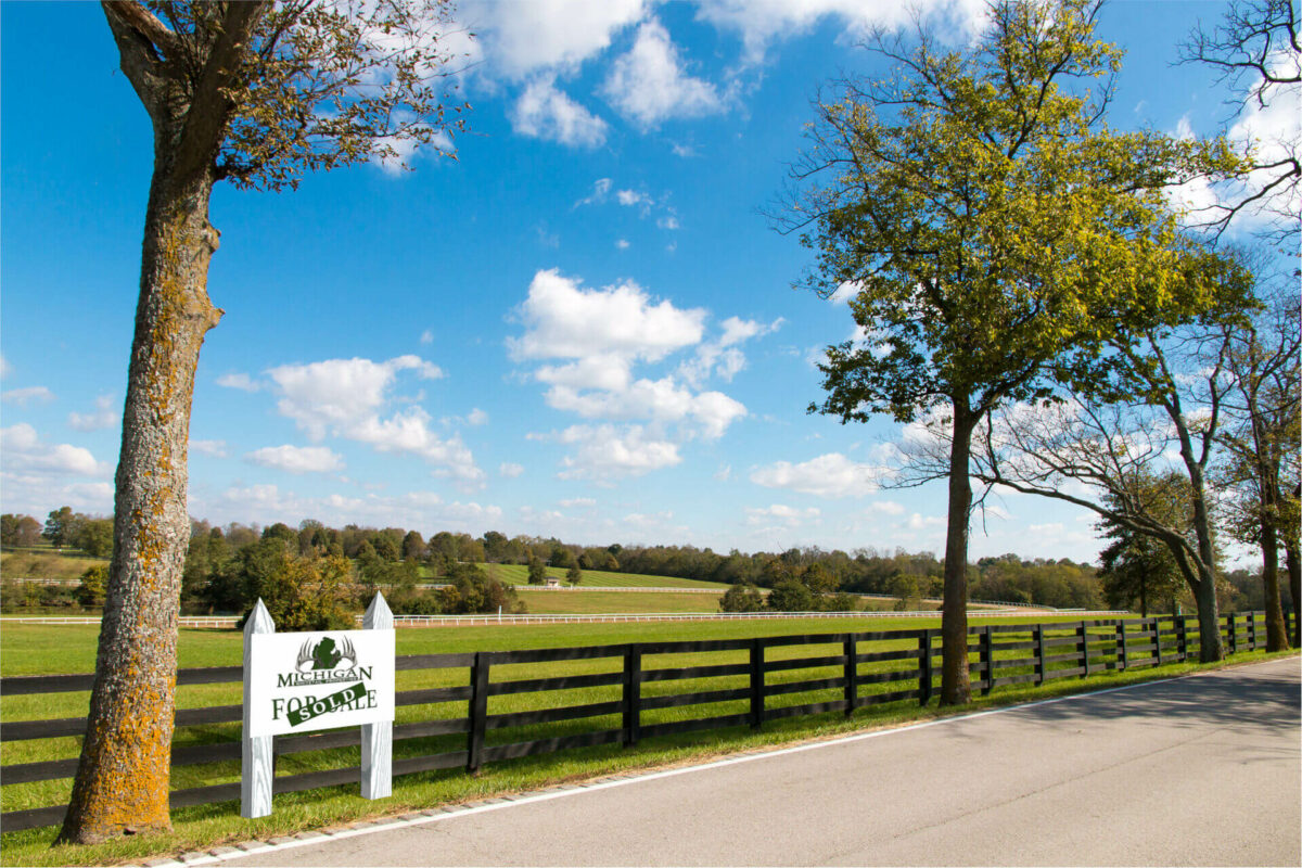 Professional Assistance for Selling Your Michigan Land Michigan