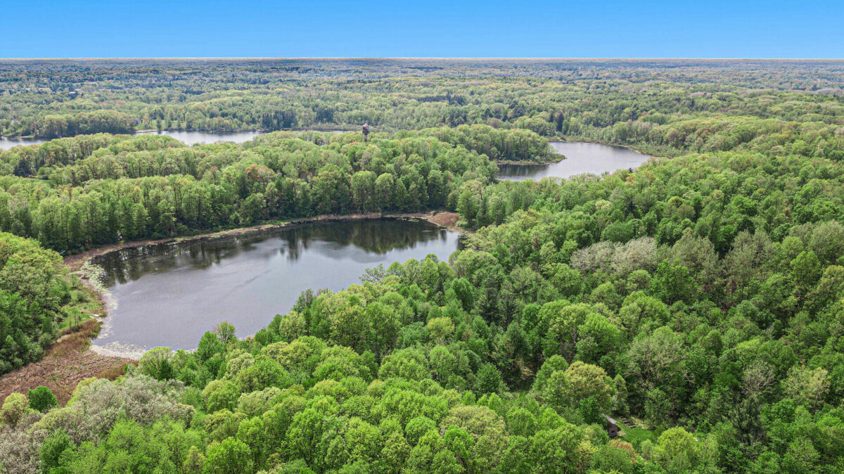 Hunting Land For Sale In Lapeer County 215 Acres Property ID 22720