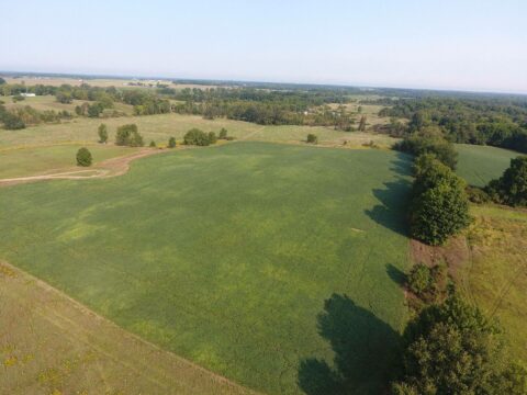 Farm Land For Sale In Eaton County 78.50 Acres | Property ID: 23203