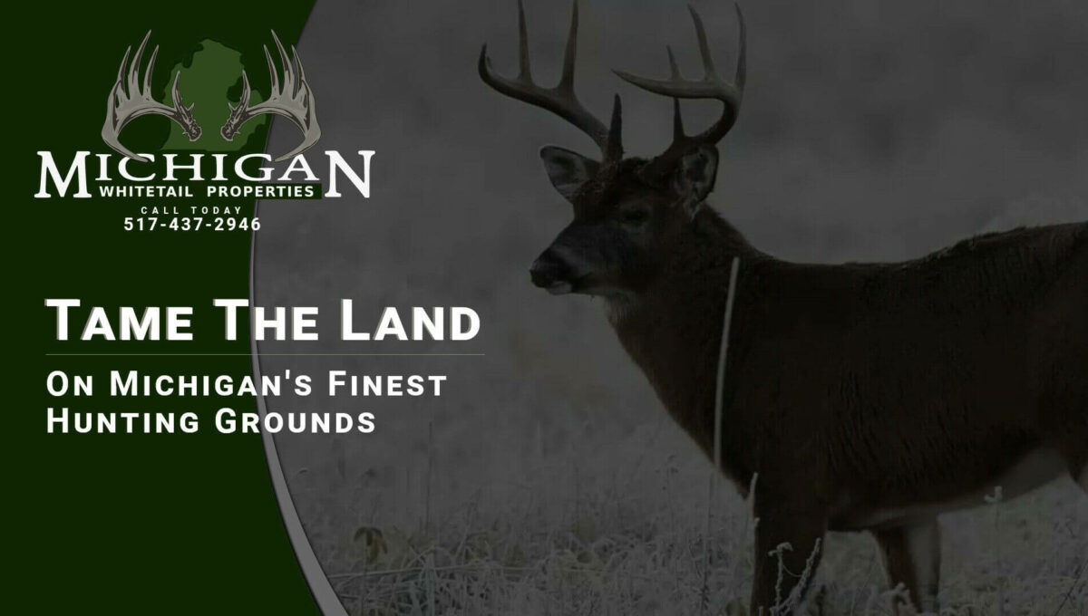 Hunting Land For Sale In Newaygo County MI Property ID 24051284