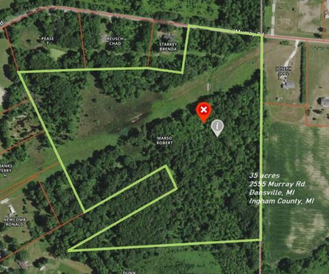 Recreational Land For Sale In Ingham County 35 Acres | Property ID: 23243