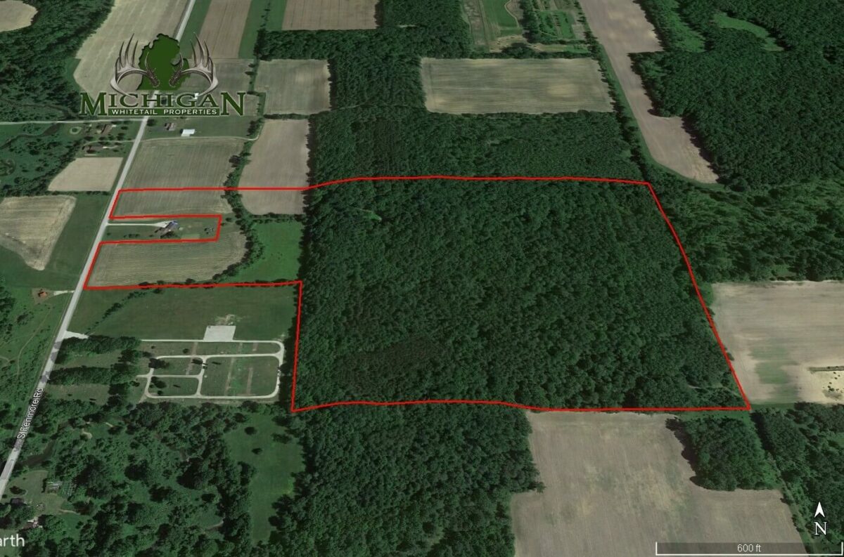 Saginaw Co 61ac Vacant Land