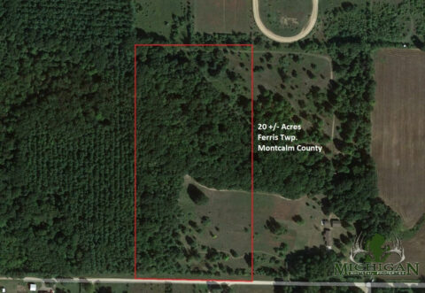 Hunting Land For Sale In Montcalm County 20 Acres | Property ID: 23306