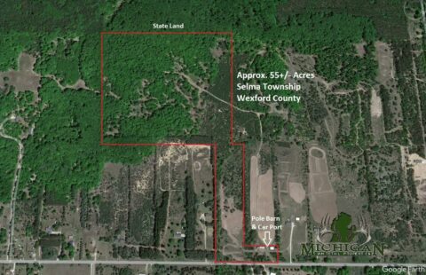Hunting Land For Sale In Wexford County 55 Acres | Property ID: 23304