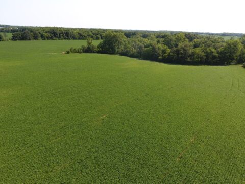 Farm Land For Sale In Lenawee County 80 Acres | Property ID: 23279