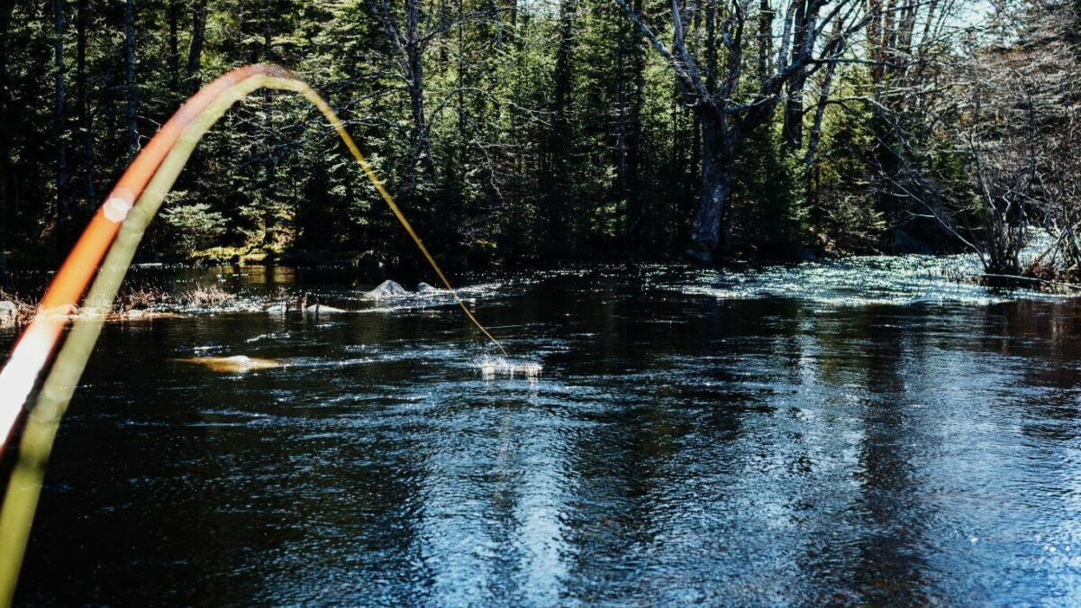 Uncover Michigan's Best Spring Fishing Spots & Tips Michigan