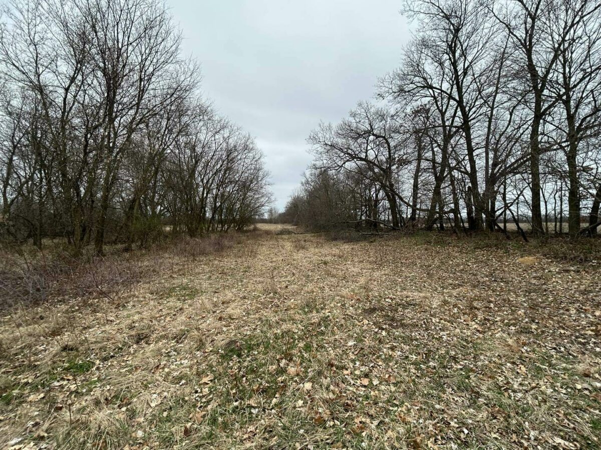Land for sale in Hillsdale County Michigan, Hunting Land for sale in