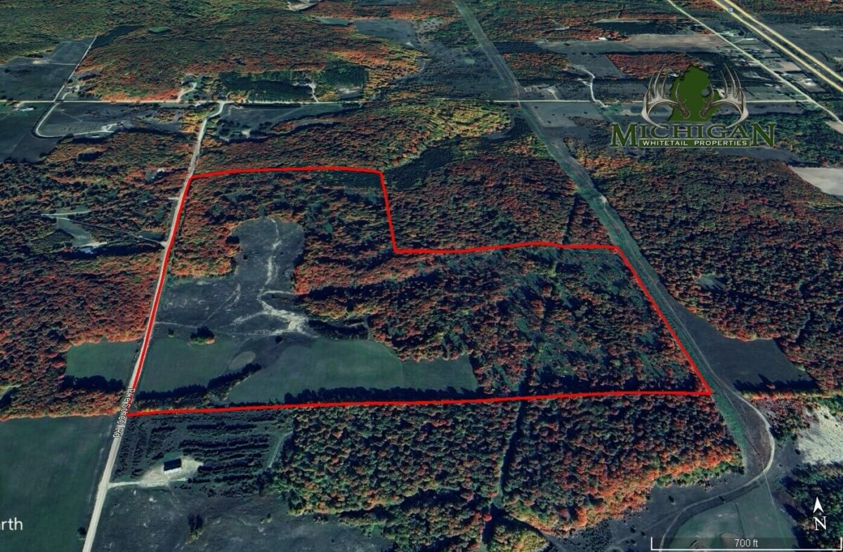 Hunting Land For Sale In Otsego County 120 Acres Property ID 23344