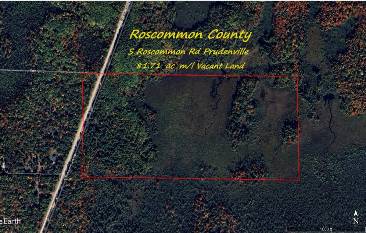 Hunting Land For Sale In County 81.7 Acres Property ID 23360