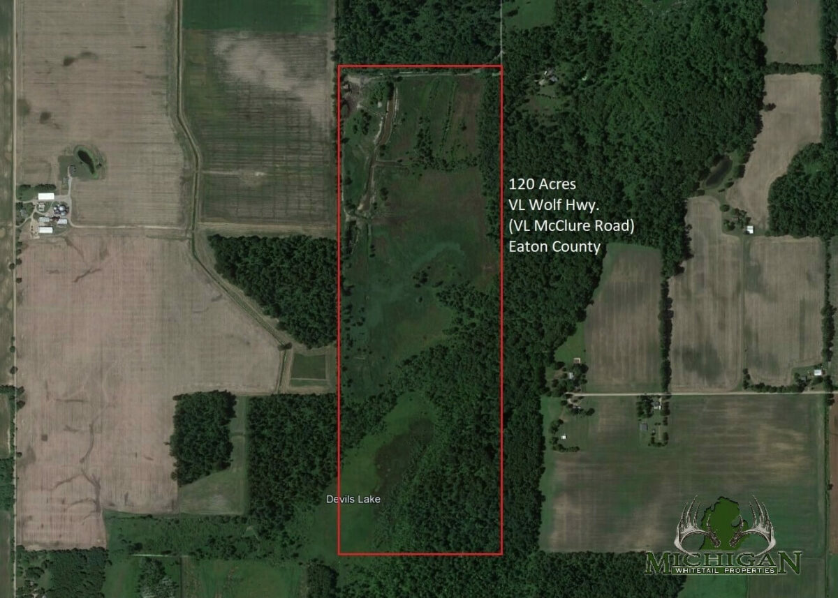 Eaton County 120 Acre Hunting Property