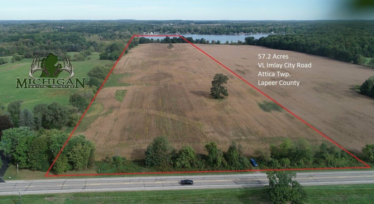Lapeer County 57.2 Acres