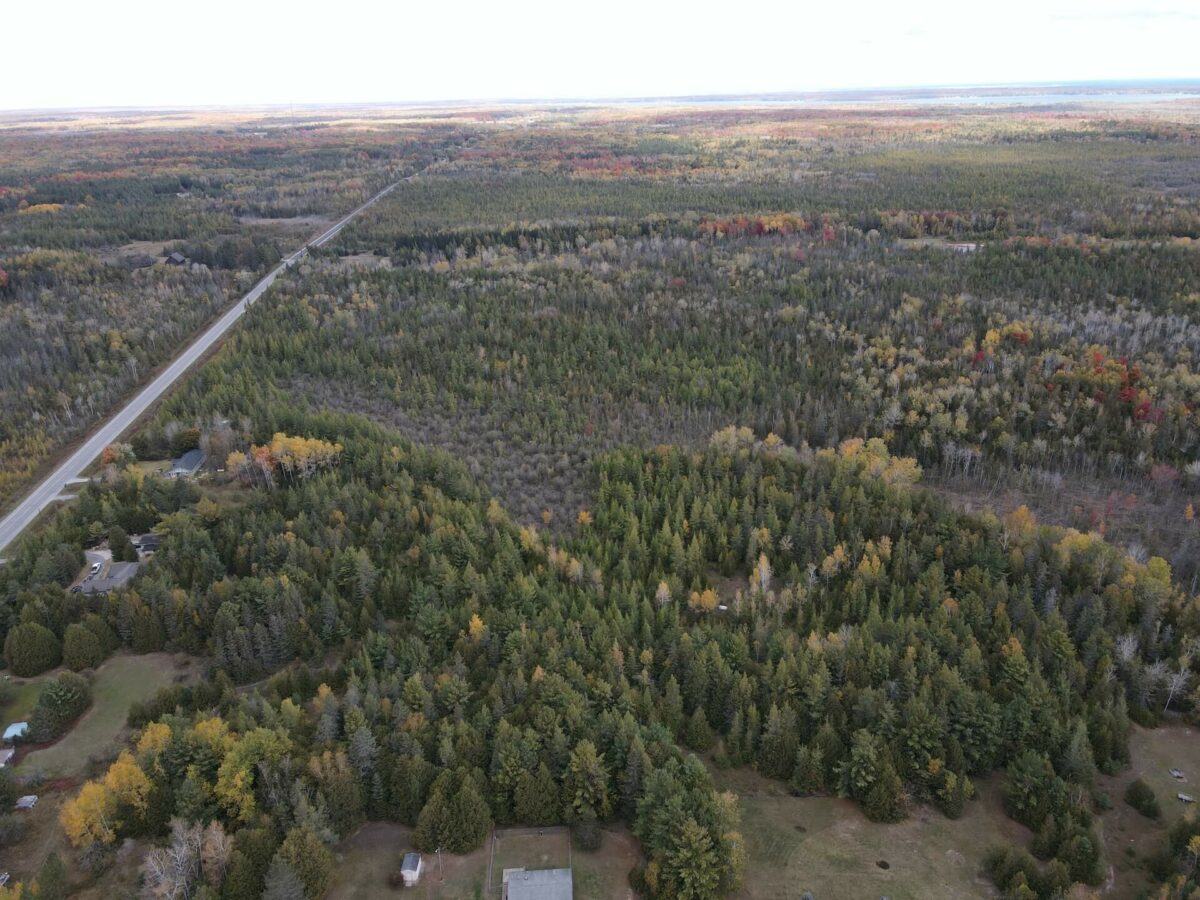 Hunting Land For Sale In Alpena County 58 Acres Property ID 23398