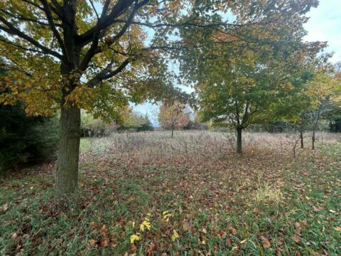 Hunting Land For Sale In Hillsdale County 5.5 Acres | Property ID: 23399