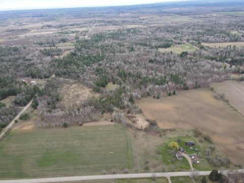 Hunting Land For Sale In Arenac County 95 Acres | Property ID: 23428