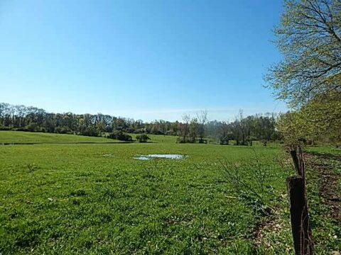 Hunting Land For Sale In Oakland County 72 Acres | Property ID: 23426