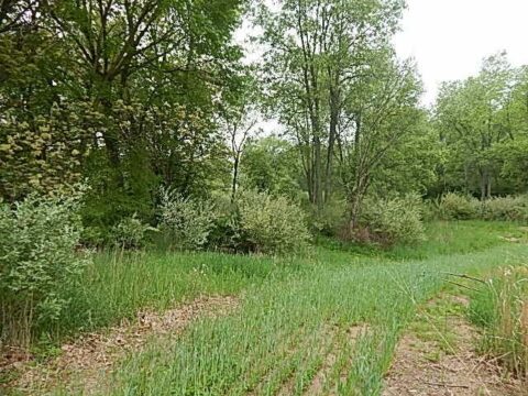 Hunting Land For Sale In Barry County 53.45 Acres | Property ID: 23430