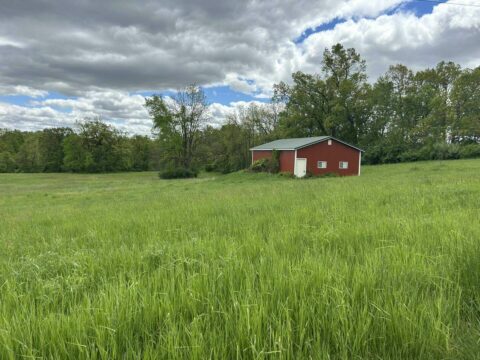 Hunting Land For Sale In Hillsdale County 80 Acres | Property ID: 23432