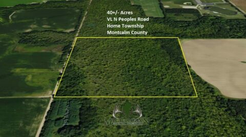 Hunting Land For Sale In Montcalm County 40 Acres | Property ID: 23435