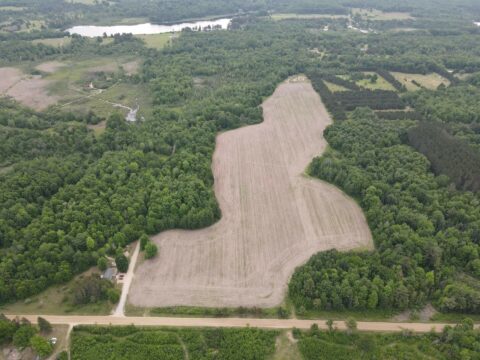Hunting Land For Sale In Clare County 74 Acres | Property ID: 23440