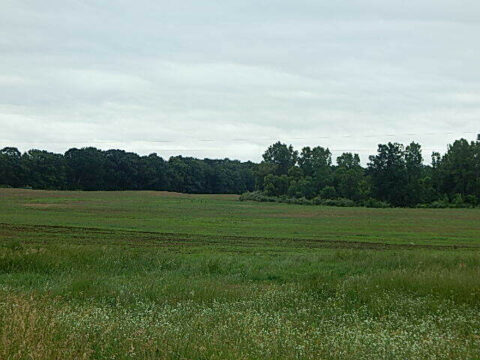 Recreational Land For Sale In Hillsdale County 38.55 Acres | Property ID: 23515