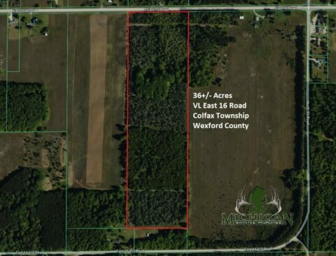 Hunting Land For Sale In Wexford County 36 Acres | Property ID: 23461