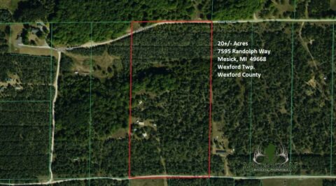 Hunting Land For Sale In Wexford County 20 Acres | Property ID: 23456