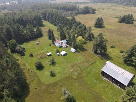 Hunting Land For Sale In Alcona County 160 Acres | Property ID: 23462
