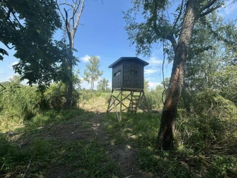 Recreational Land For Sale In Calhoun County 29 Acres | Property ID: 23460