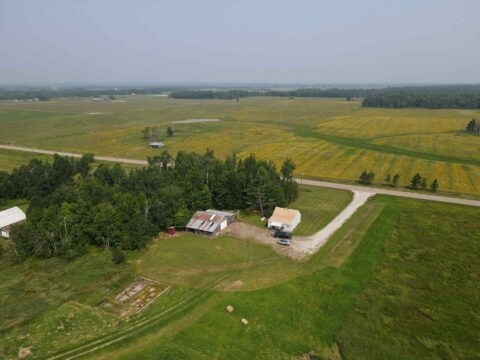 Hunting Land For Sale In Chippewa County 120 Acres | Property ID: 23474