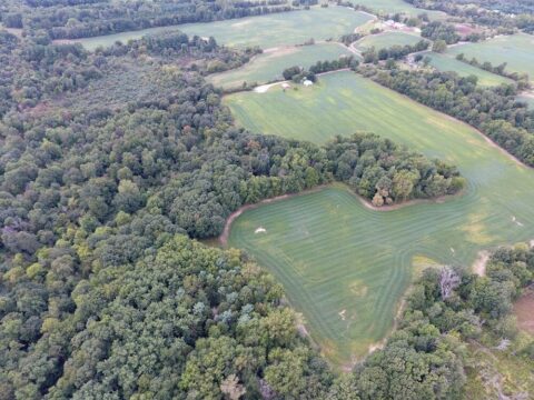 Hunting Land For Sale In Hillsdale County 58 Acres | Property ID: 23467