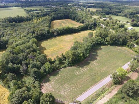 Hunting Land For Sale In Calhoun County 100 Acres | Property ID: 23464