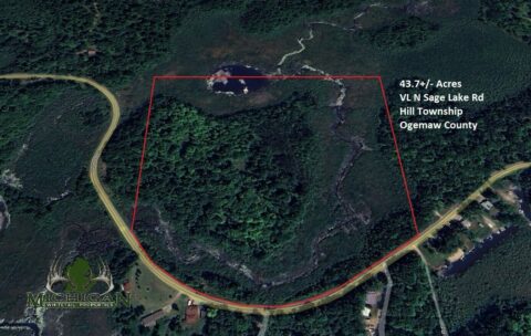 Recreational Land For Sale In Ogemaw County 43.7 Acres | Property ID: 23466