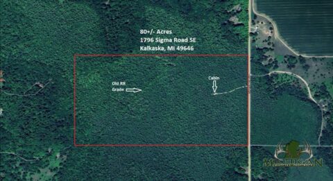Hunting Land For Sale In Kalkaska County 80 Acres | Property ID: 23468