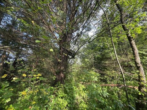 Hunting Land For Sale In Muskegon County 8.62 Acres | Property ID: 23473
