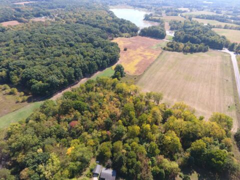 Farm Land For Sale In Barry County 138.7 Acres | Property ID: 23469
