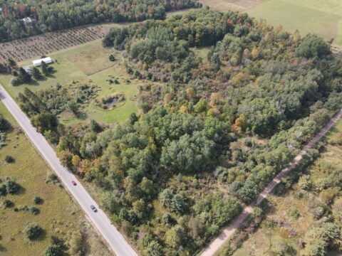 Hunting Land For Sale In Crawford County 11.39 Acres | Property ID: 23475