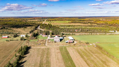 Farm Land For Sale In Chippewa County 363.81 Acres | Property ID: 23485