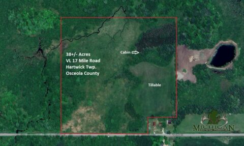 Hunting Land For Sale In Osceola County 38.3 Acres | Property ID: 23482