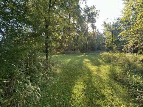 Recreational Land For Sale In Hillsdale County 10 Acres | Property ID: 23478