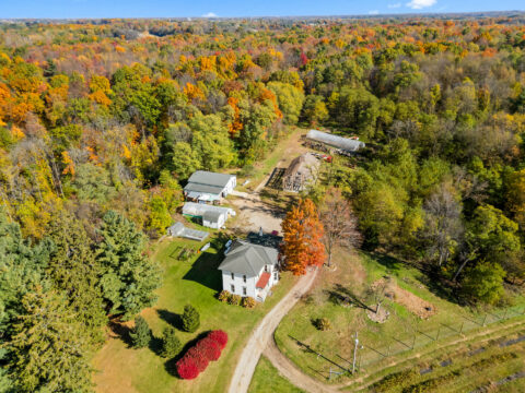 Country Home For Sale In Hillsdale County 143.2 Acres | Property ID: 23493
