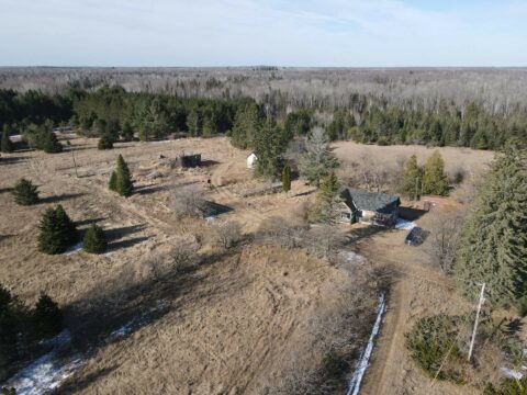 Hunting Land For Sale In Presque Isle County 101.88 Acres | Property ID: 23497