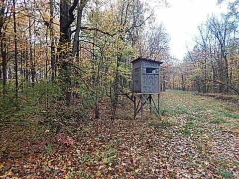 Hunting Land For Sale In Hillsdale County 80 Acres | Property ID: 23495