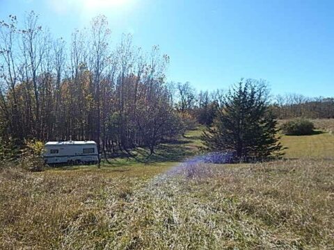 Hunting Land For Sale In Hillsdale County 20 Acres | Property ID: 23490
