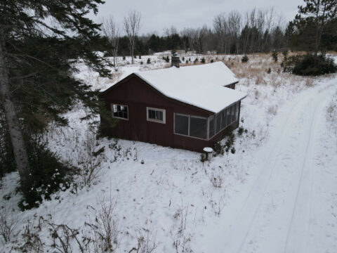 Hunting Land For Sale In Montmorency County 91 Acres | Property ID: 23498