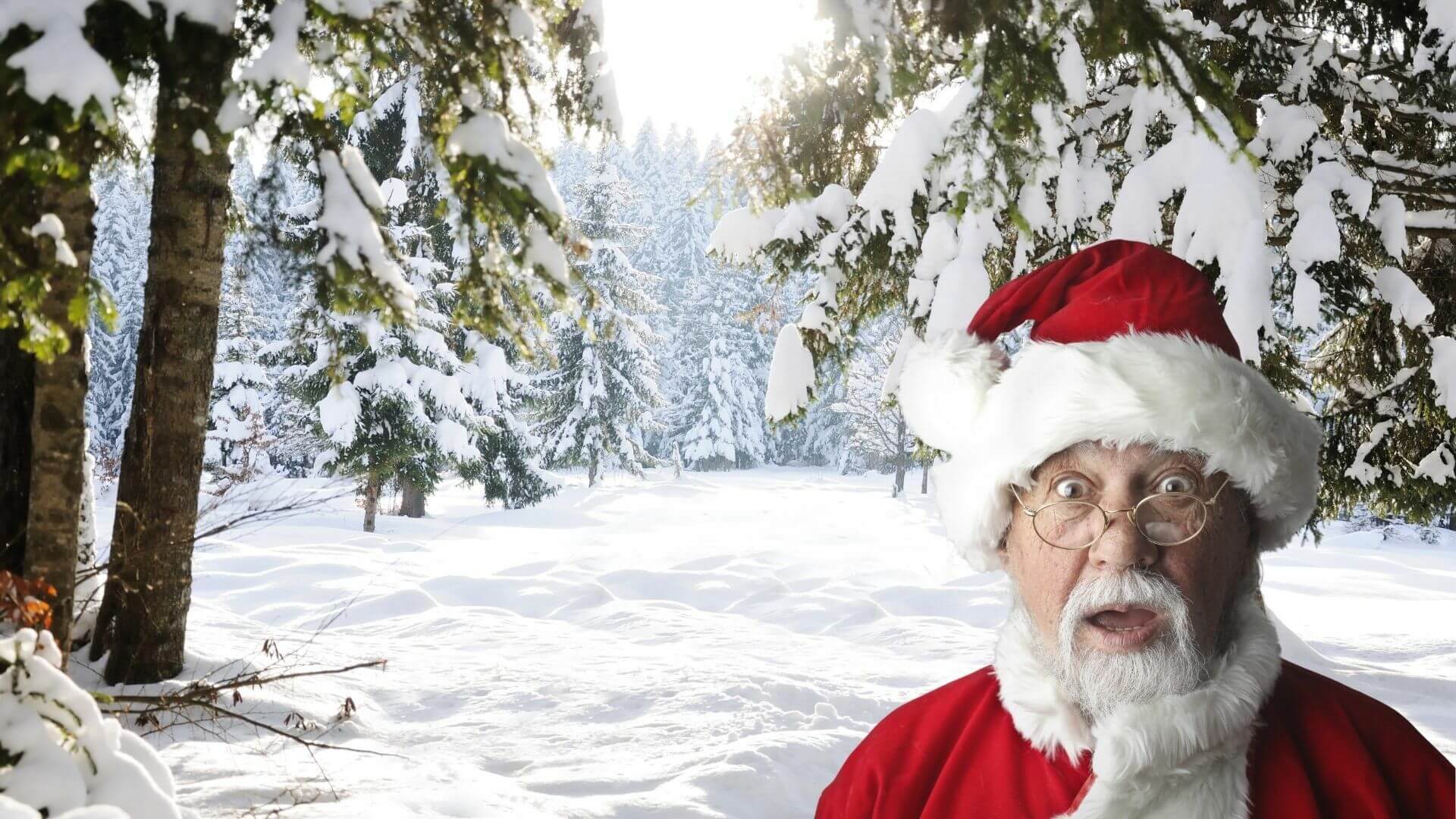 Santa Claus standing in a snowy evergreen forest in the Michigan wilderness during winter
