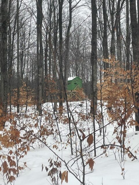 Recreational Land For Sale In Manistee County 63 Acres | Property ID: 23509