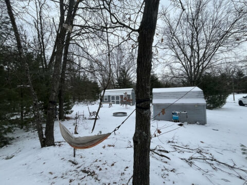 Homesite For Sale In Newaygo County 3.22 Acres | Property ID: 23511