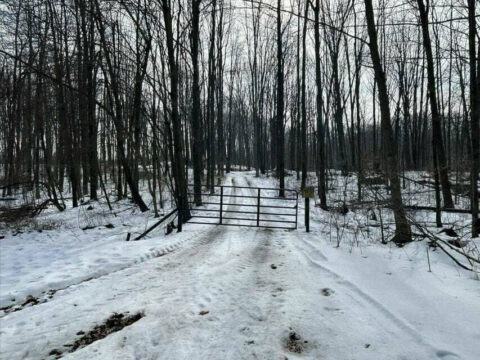 Recreational Land For Sale In Hillsdale County 37.62 Acres | Property ID: 23518