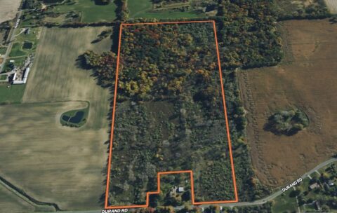 Hunting Land For Sale In Shiawassee County 66.5 Acres | Property ID: 23527