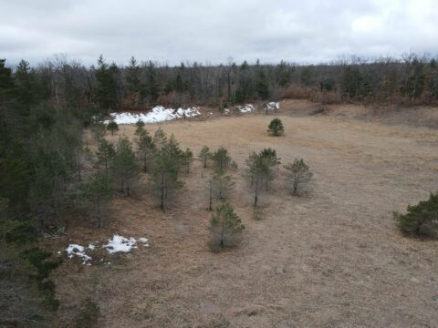 Hunting Land For Sale In Alcona County 76.67 Acres | Property ID: 23523